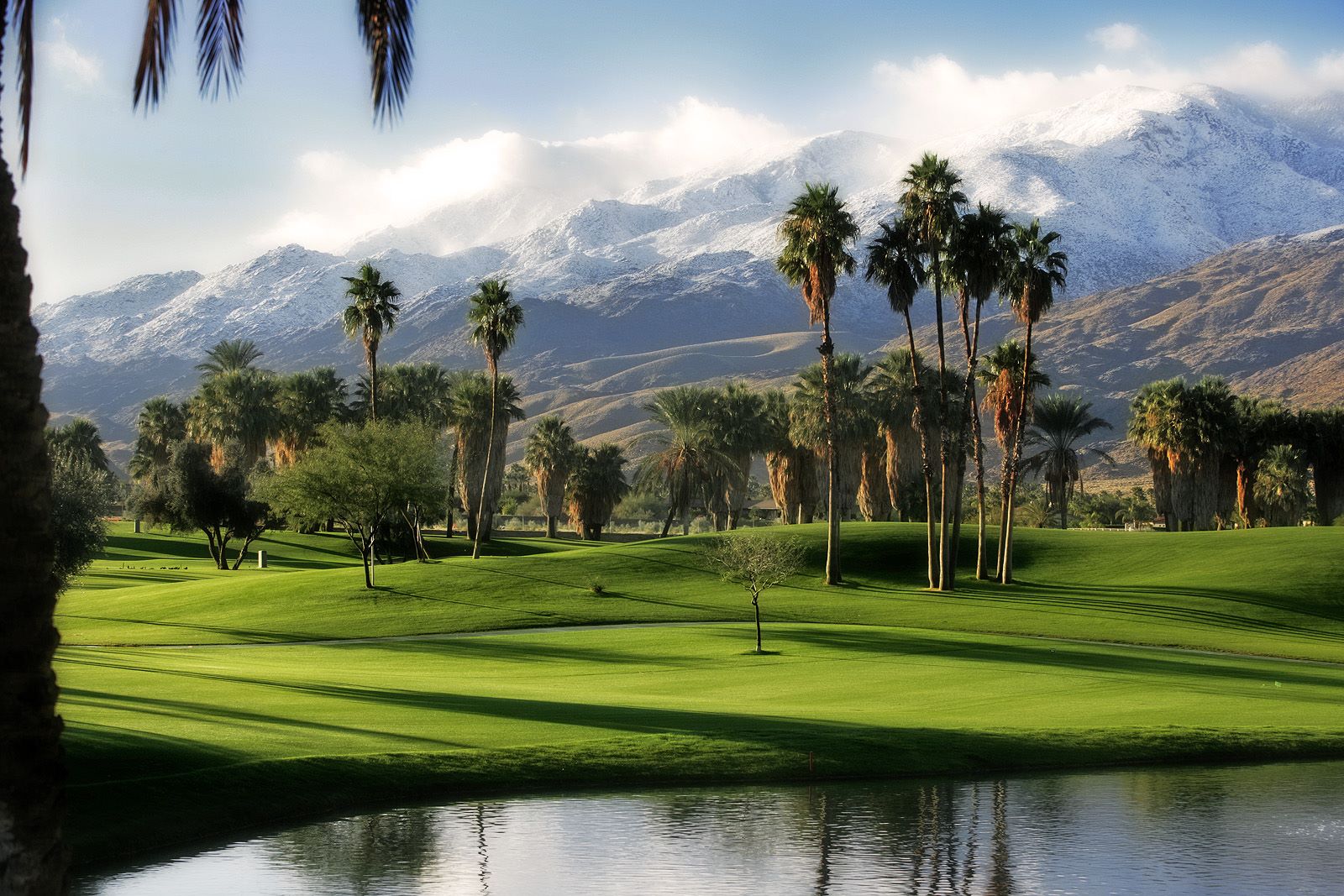 andy williams palm springs home